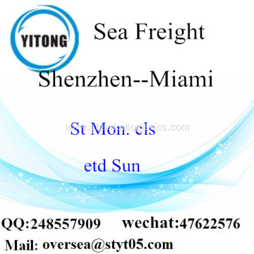 Shenzhen Port LCL Consolidation To Miami